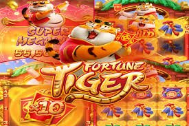 akbar lasbela Live Casino Section